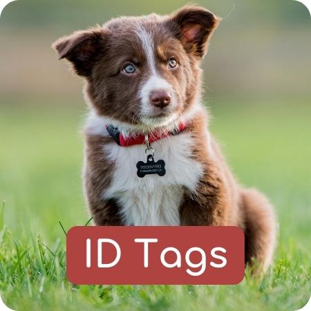 Pets.ie| Online Store